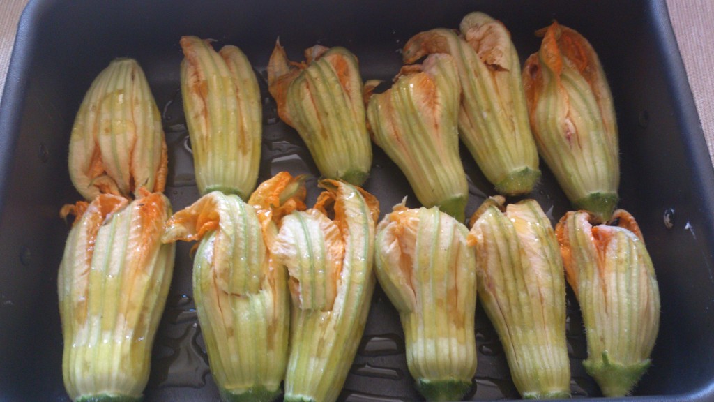 fiori di zucchina ripieni - infornate i fiori di zucchina