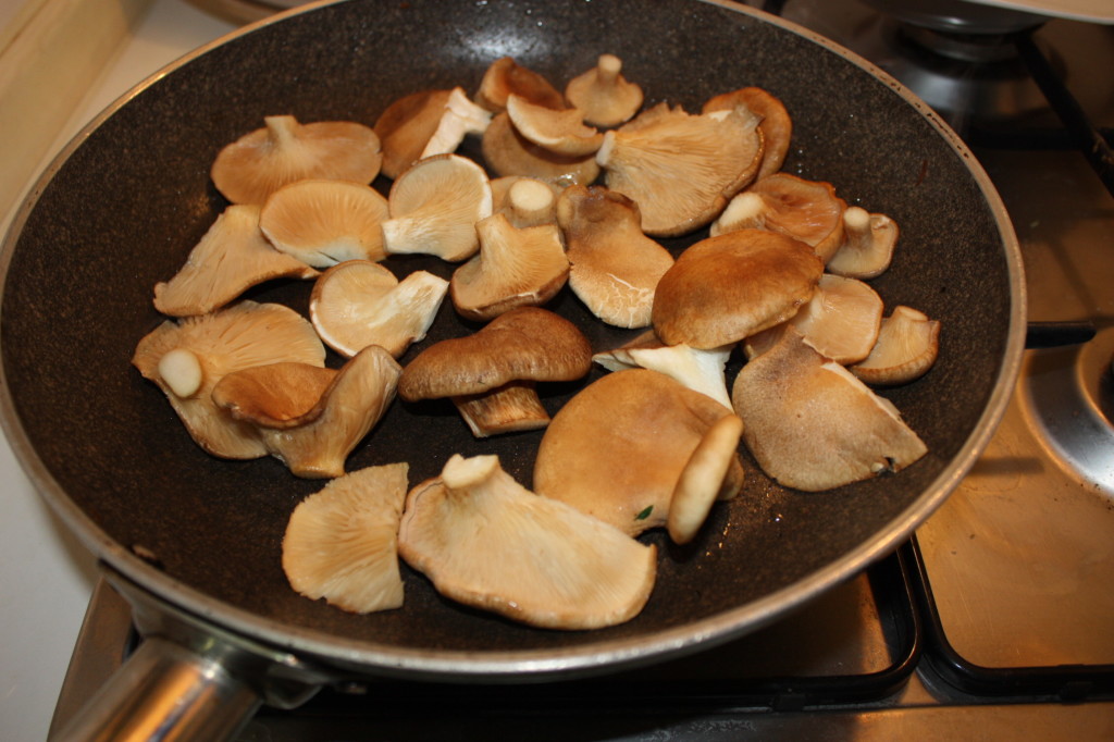 Funghi saltati su letto di cipolla dorata - salto i funghi in padella