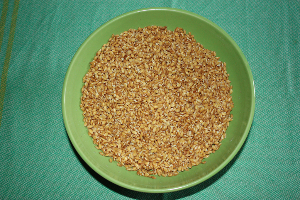 insalata di farro - farro in ammollo