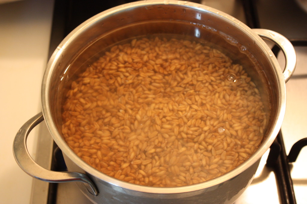 zuppa di farro - cuocere il farro