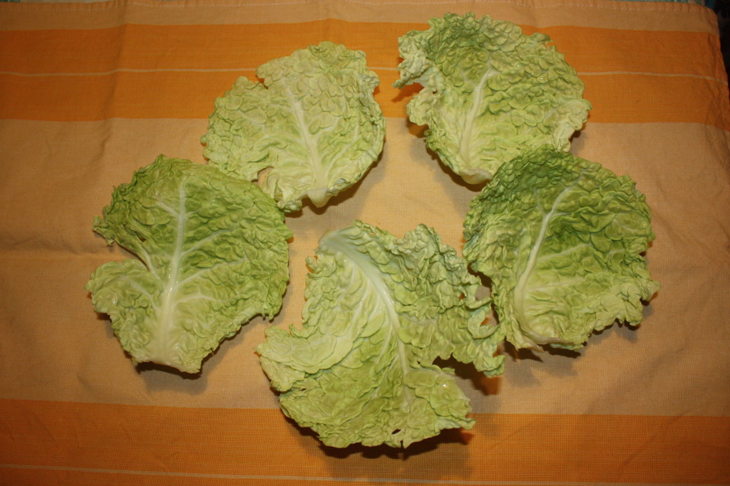 rotolini di verza ripieni - selezionare le foglie