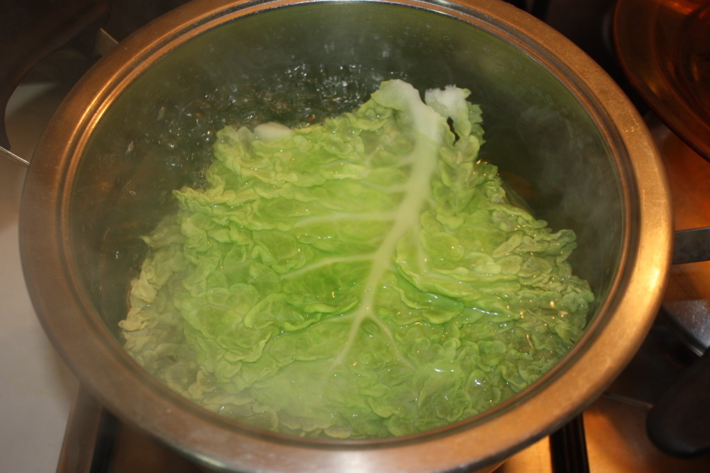 rotolini di verza ripieni - sbollentare le foglie
