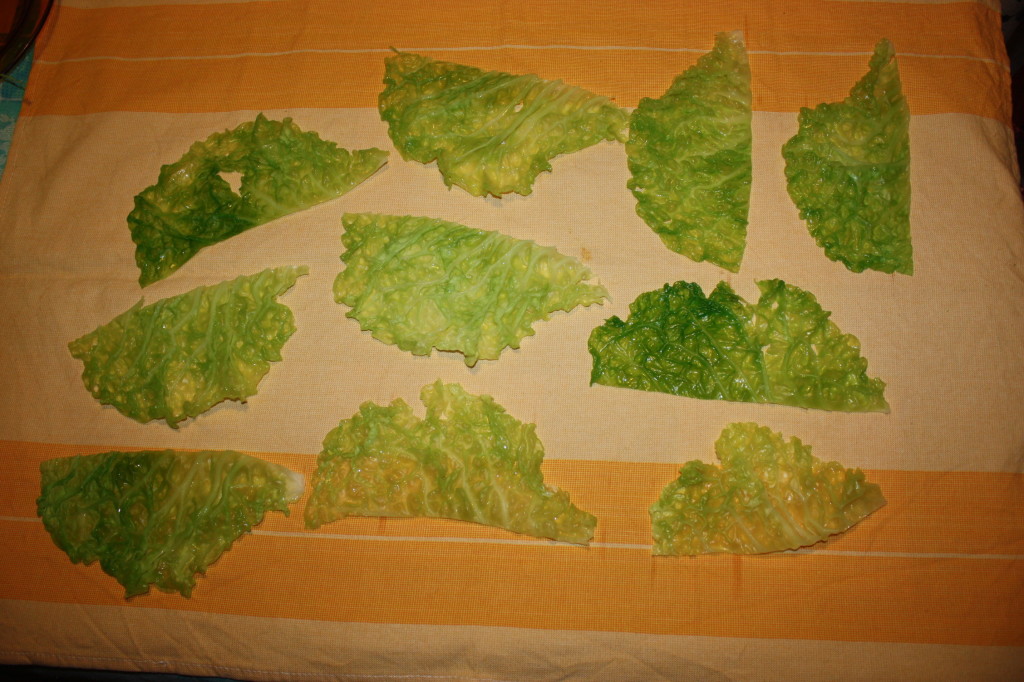 rotolini di verza ripieni - asciugare le foglie