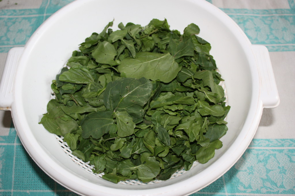 penne al pesto di rucola e avocado - pulire la rucola