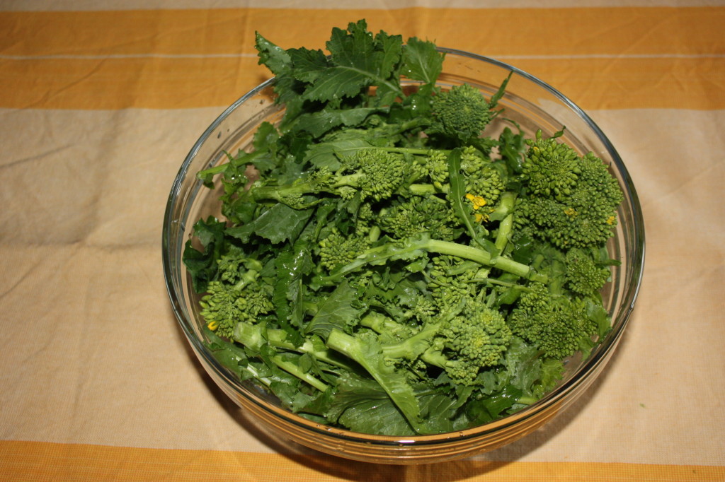 sedani con cime di rapa e funghi - cime di rapa