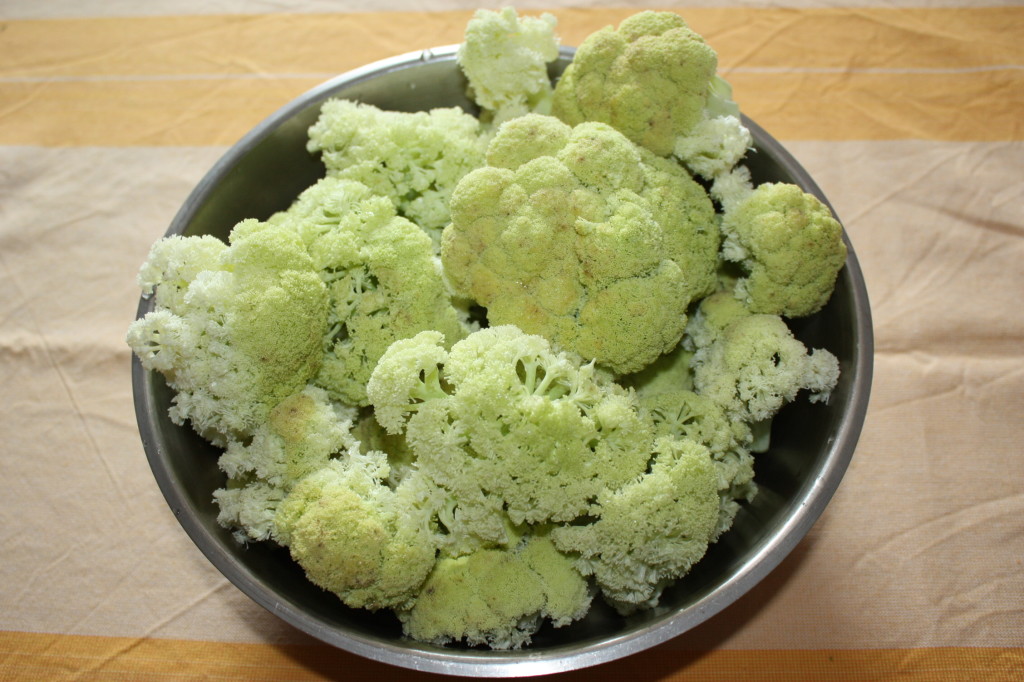 pasta al forno con cavolfiori - lavare i cavolfiori