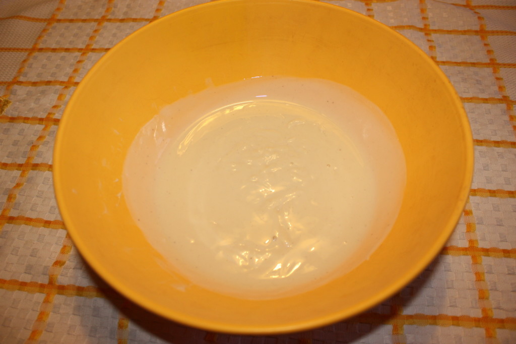 cheescake vegan al cioccolato - unire yogurt e malto