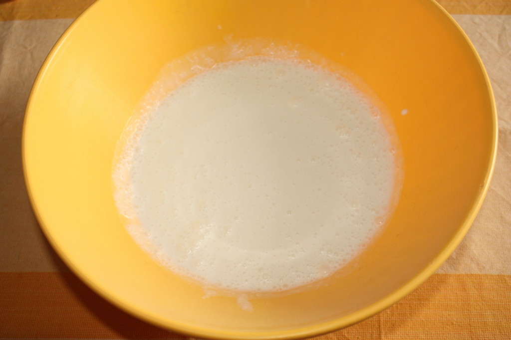 budino al cocco - latte di cocco e malto