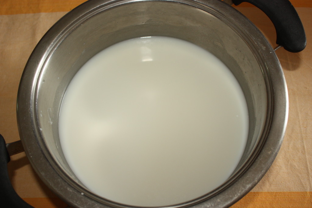 budino al cocco - stemperare agar agar con latte