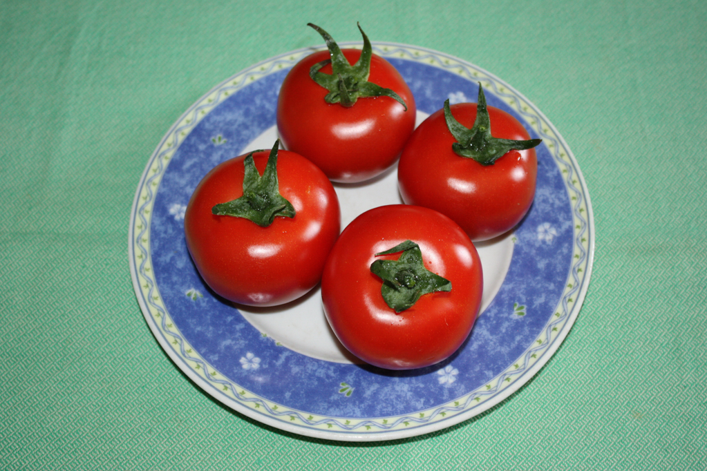 pomodori ripieni - lavare i pomodori